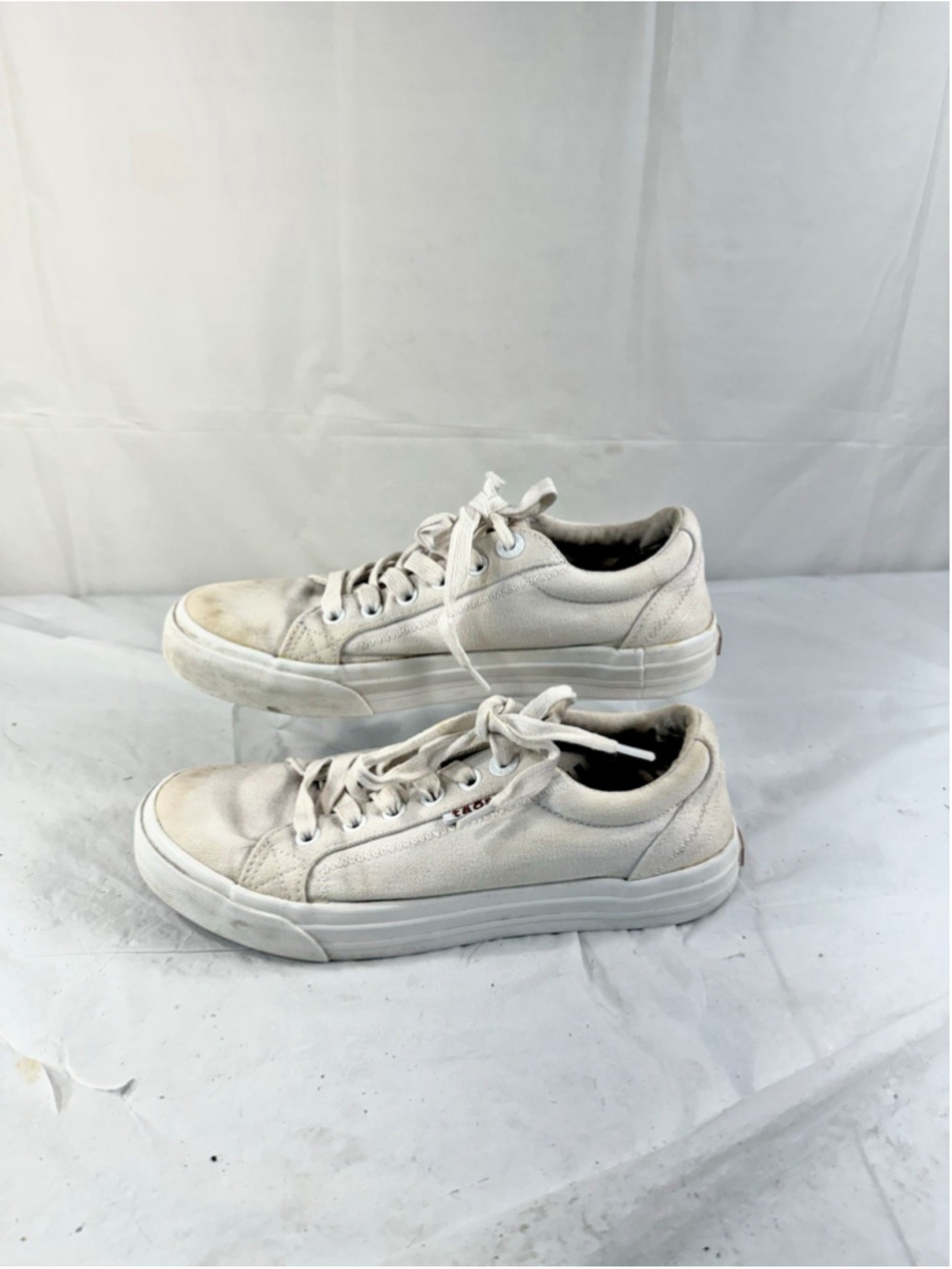Taos Womens Footwear White Plim Soul Canvas Sneakers Size 7
